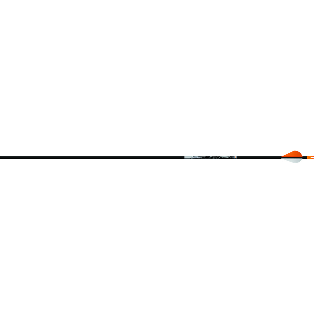 Easton 5mm Axis Sport Arrows 600 2 in. Bully Vanes 6 pk.