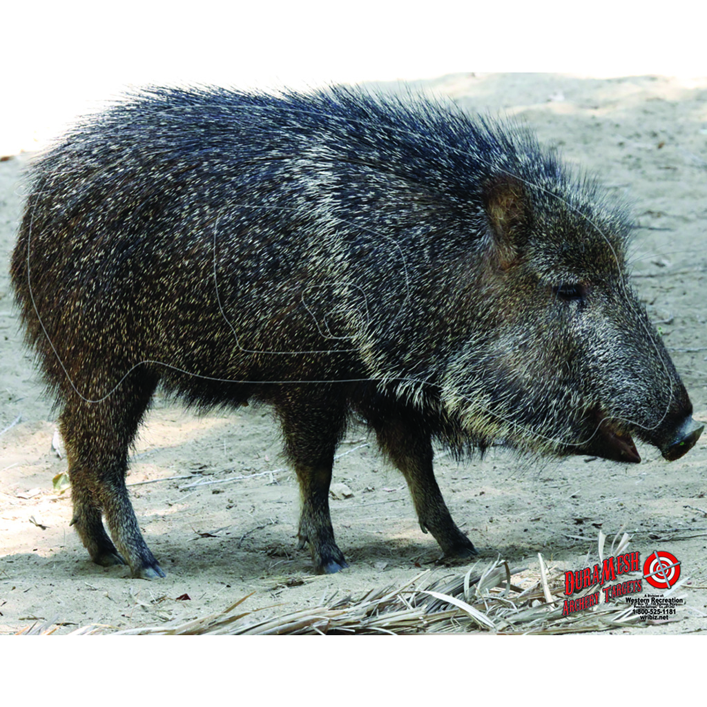 DuraMesh Archery Target Javelina 25 in. x 32 in.