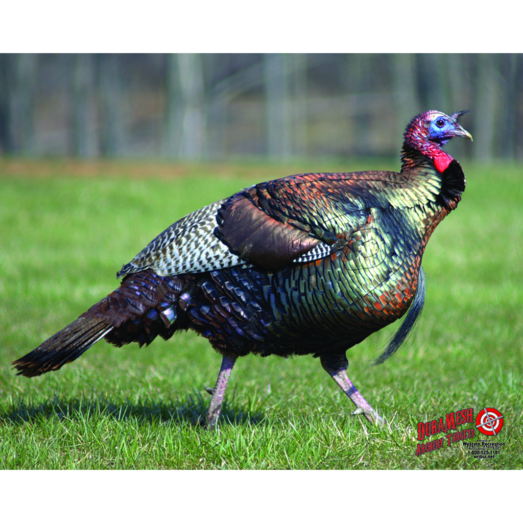 DuraMesh Archery Target Turkey 25 in. x 32 in.