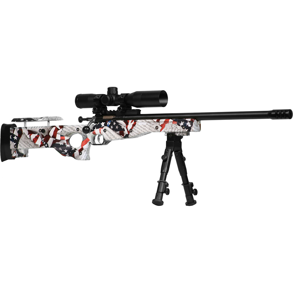 Keystone Crickett Precision Rifle Package 22LR Amendment Blued