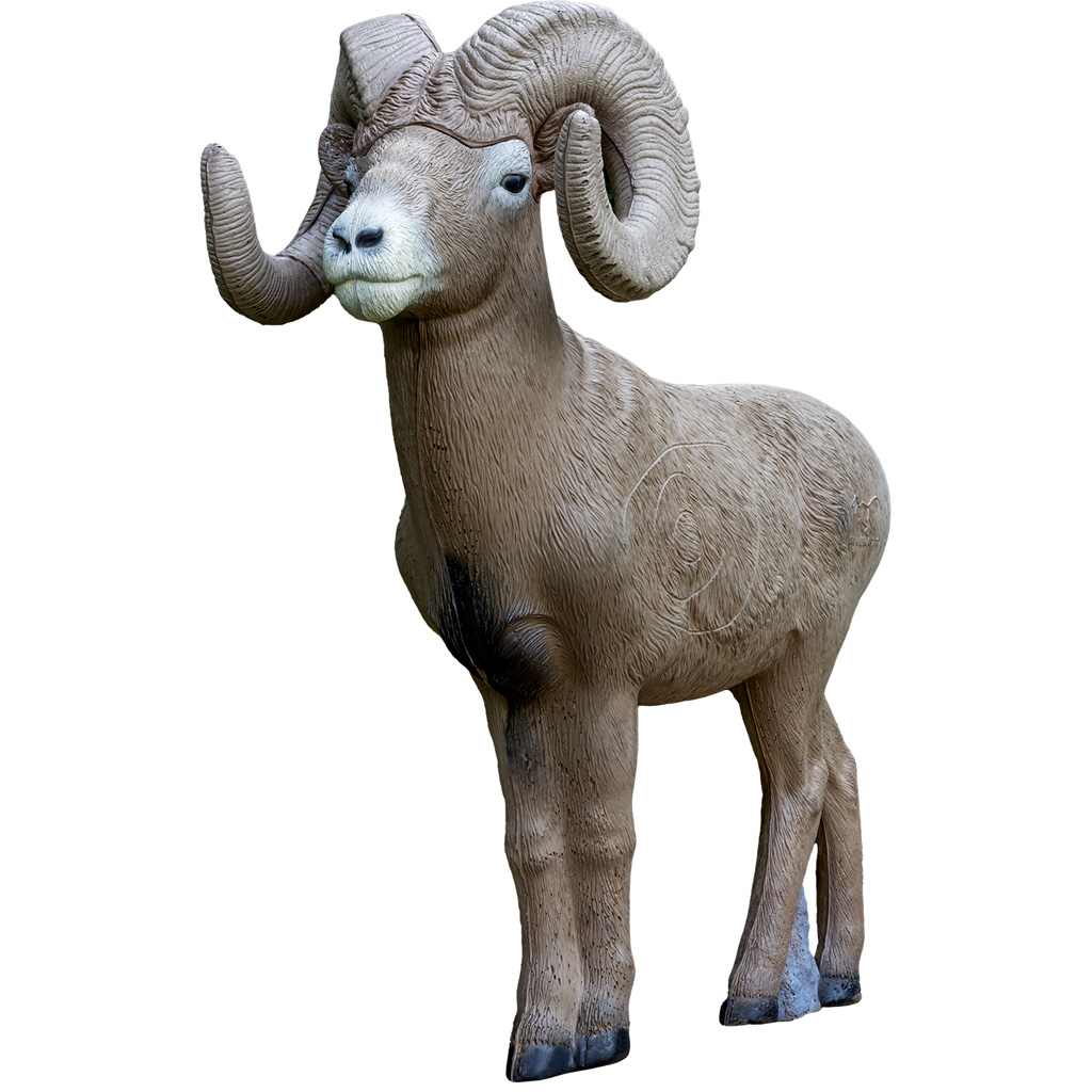 Rinehart ½ Scale Signature Bighorn Sheep Target