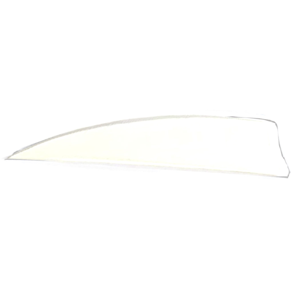 Trueflight Shield Cut Feathers White 3 in. LW 100 pk.