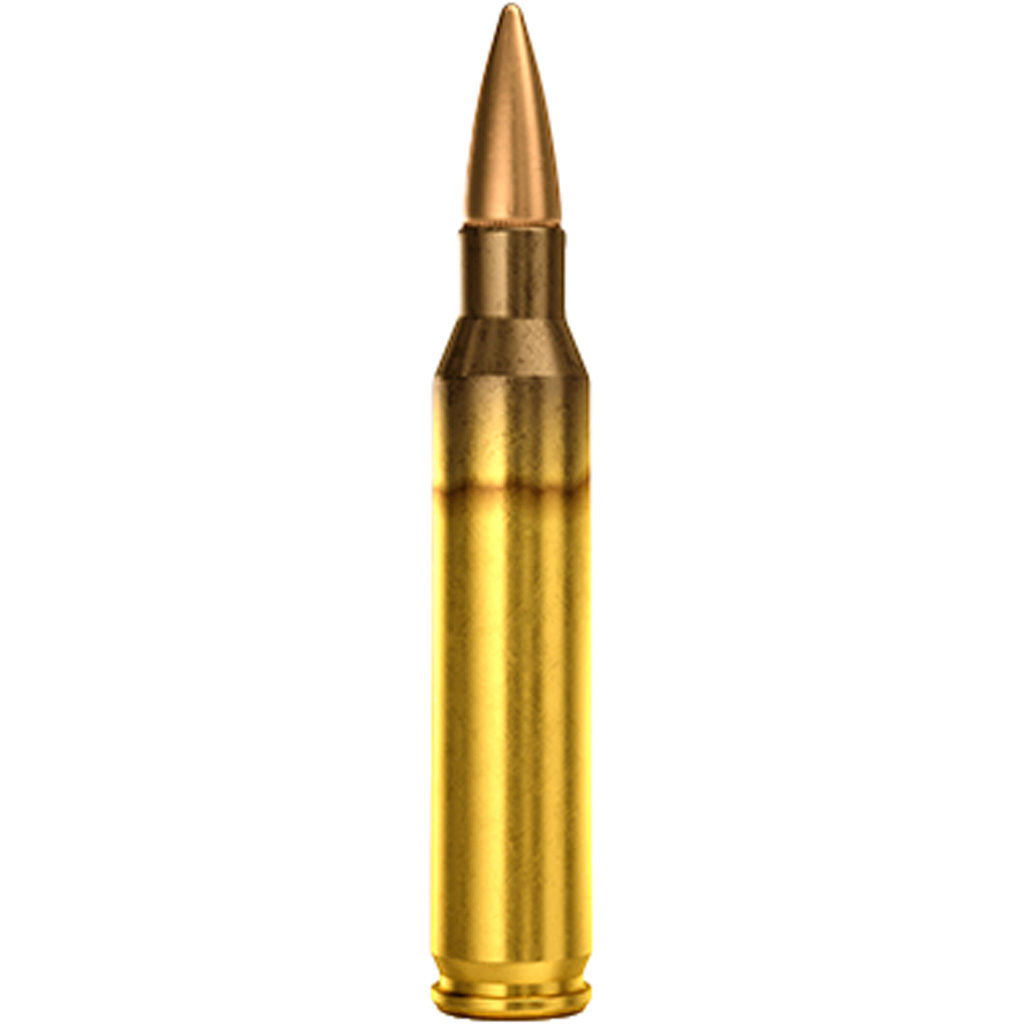 Magtech Rifle Ammo 5.56X45 62 gr. FMJ 50 rd.