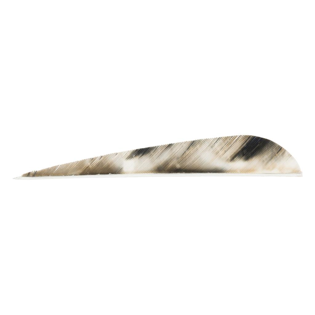 Gateway Tre-Bark Feathers Tre-Bark 4 in. RW 100 pk.