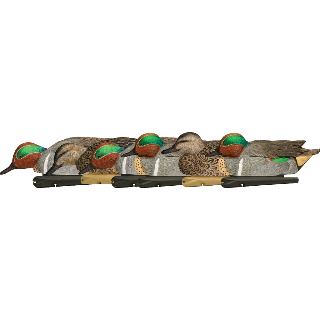 AvianX Top Flight Duck Decoys Green-Winged Teal 6 pk.