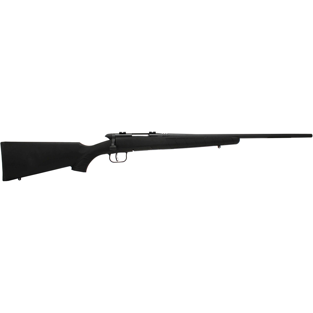 Savage BMag Rifle 17 WSM 22 in. Heavy Barrel Black SS RH