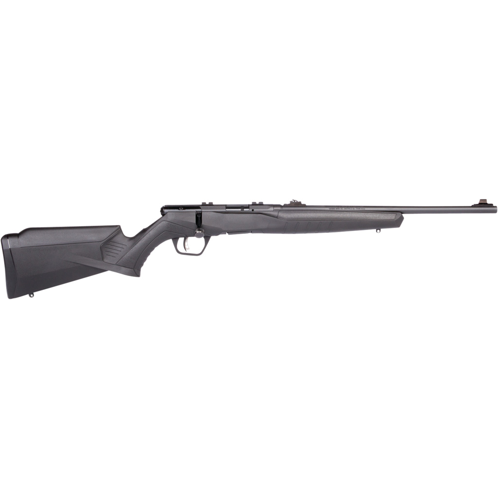 Savage B22 F Compact Rifle 22 LR 18 in. Black RH