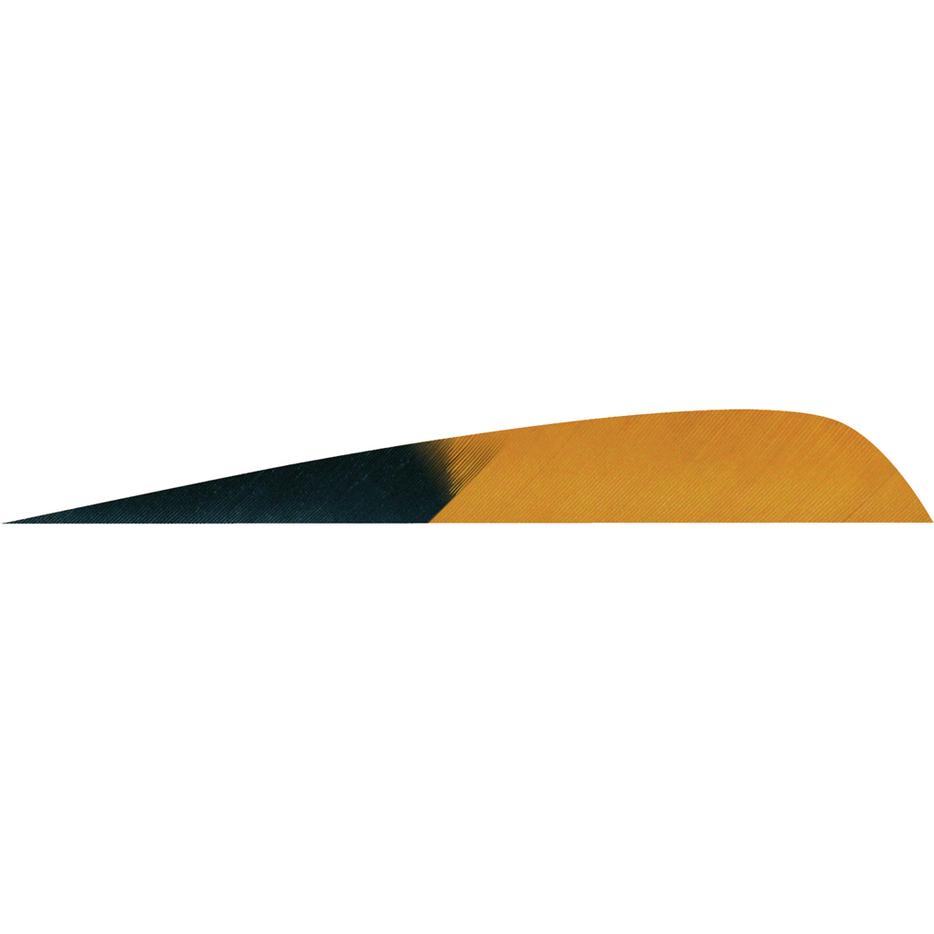 Gateway Parabolic Feathers Kuro Brown 4 in. LW 50 pk.