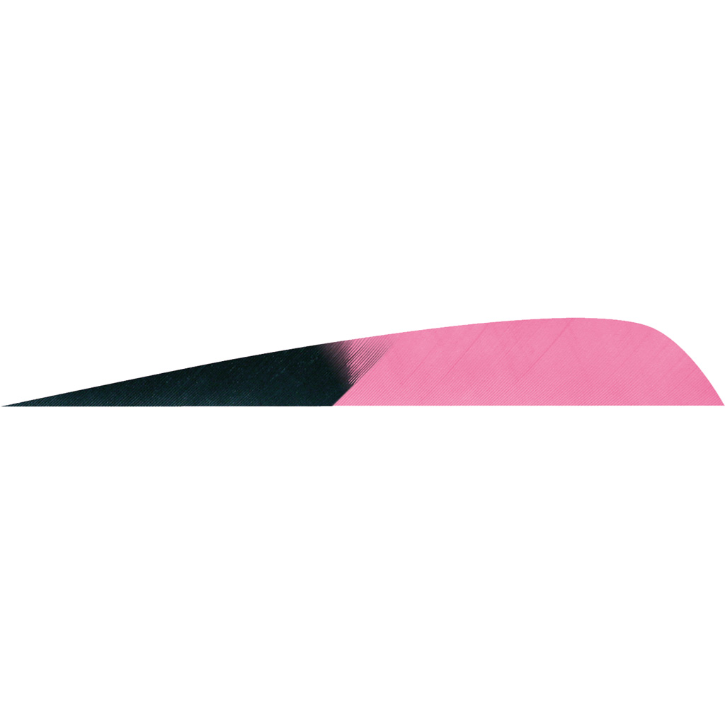 Gateway Parabolic Feathers Kuro Pink 4 in. LW 50 pk.