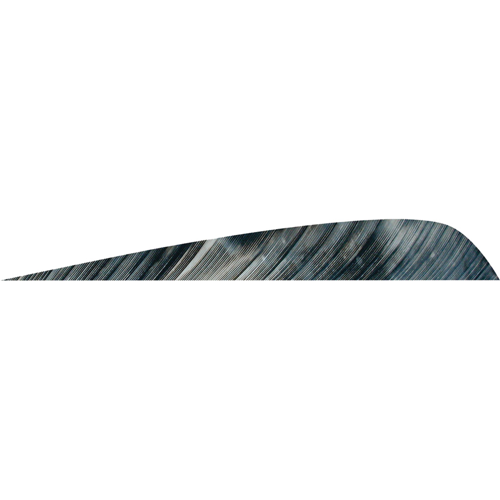 Gateway Parabolic Feathers Tre Bark 4 in. LW 50 pk.