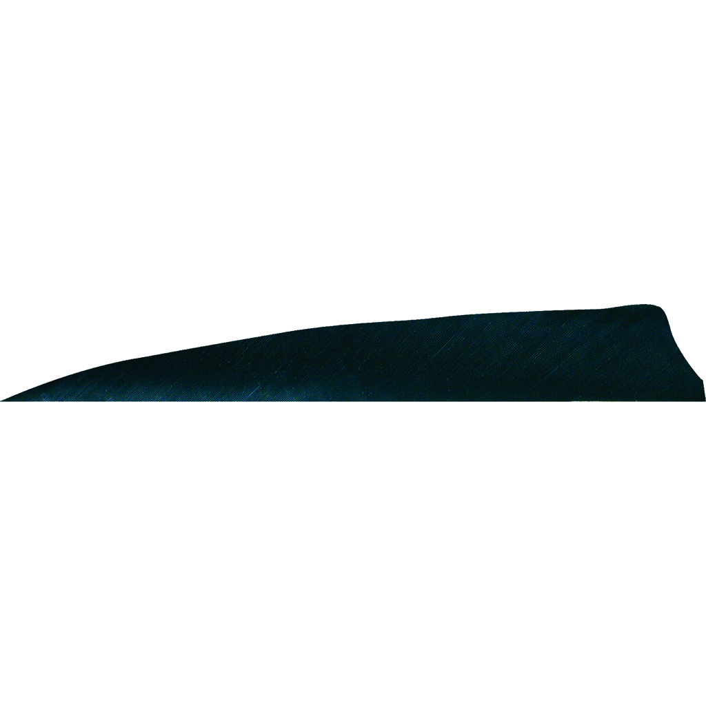 Gateway Shield Cut Feathers Black 4 in. LW 50 pk.