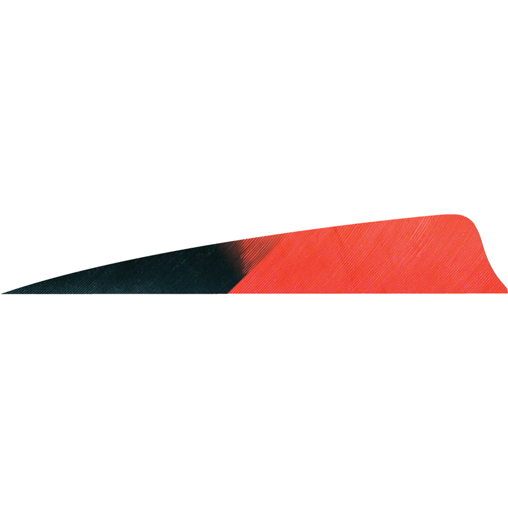 Gateway Shield Cut Feathers Kuro Red 4 in. LW 50 pk.