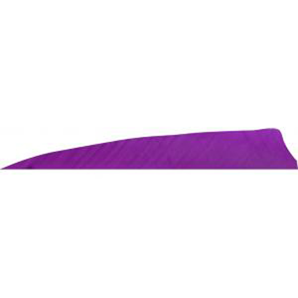 Gateway Shield Cut Feathers Purple 4 in. LW 50 pk.