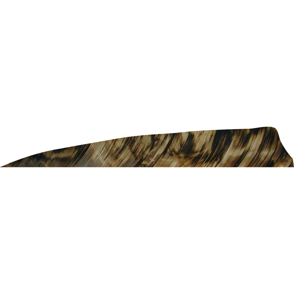 Gateway Shield Cut Feathers Tre Brown 4 in. LW 50 pk.