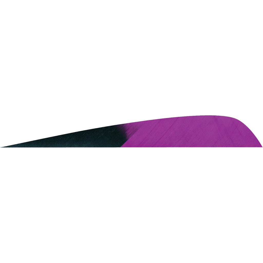 Gateway Parabolic Feathers Kuru Purple 4 in. RW 50 pk.