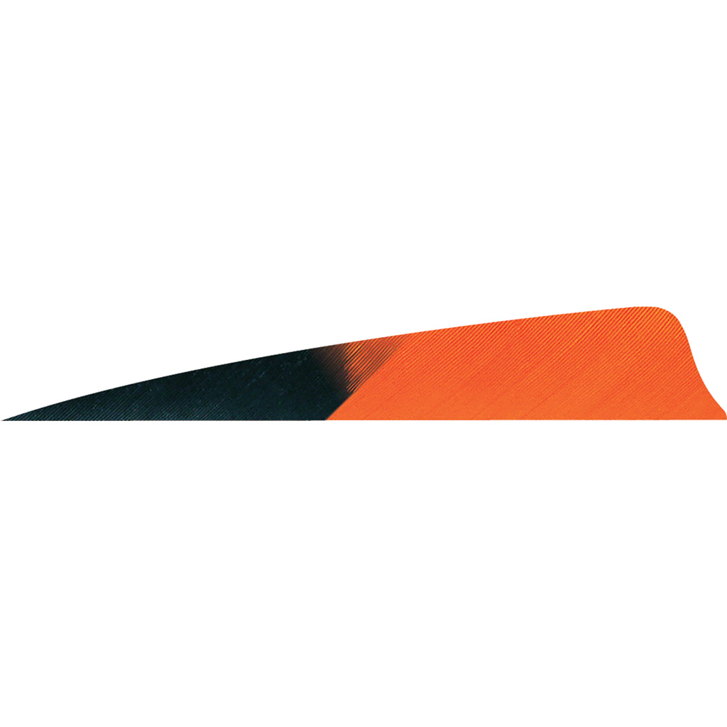 Gateway Shield Cut Feathers Kuru Tangerine 4 in. RW 50 pk.