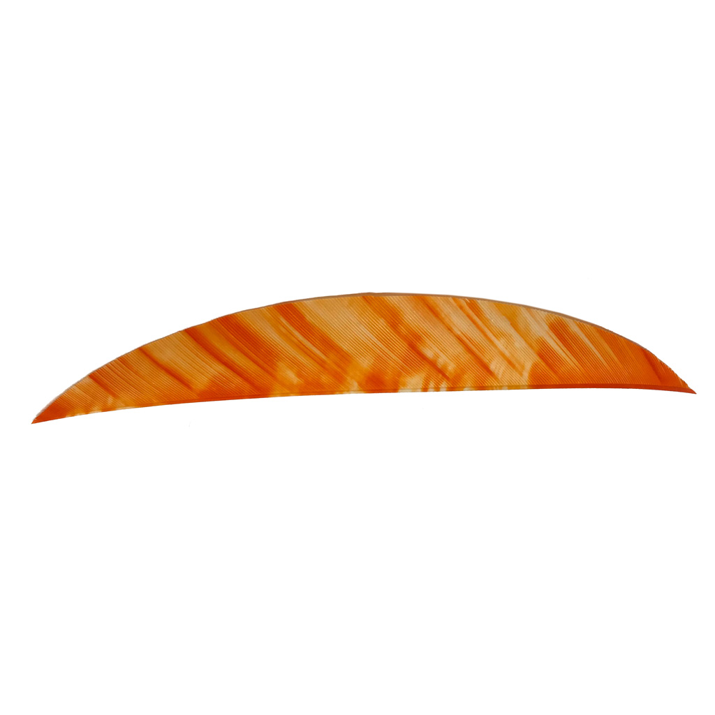 Gateway Magnum Feathers Tre White/Orange 5.5 in. RW 50 pk.