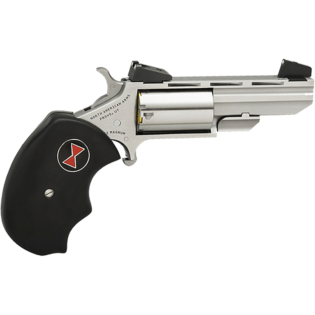 NAA Black Widow Revolver 22 LR Stainless/Black 2 in. 5 rd. AS