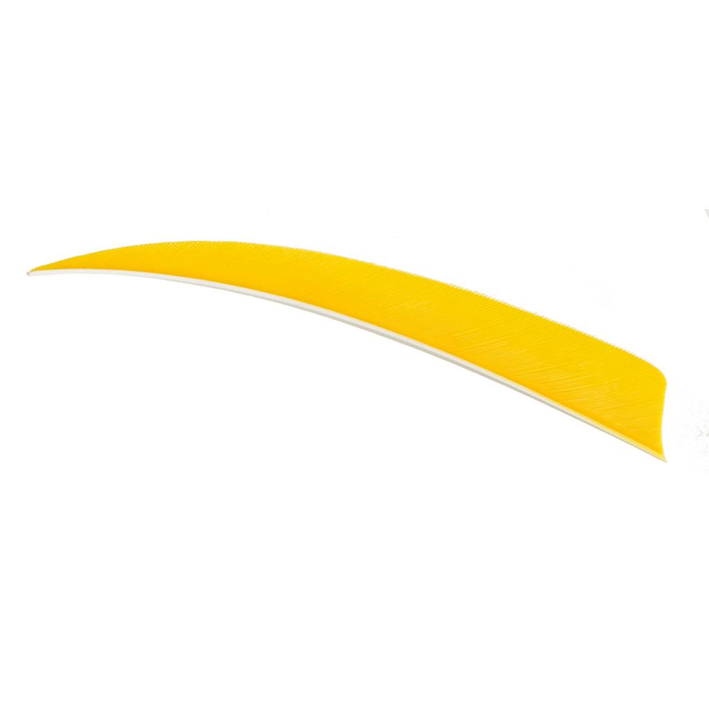 Trueflight Shield Cut Feathers Yellow 5 in. RW 100 pk.