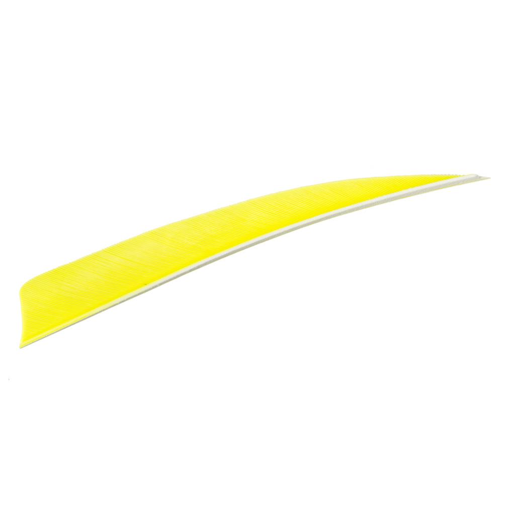 Trueflight Shield Cut Feathers Chartreuse 4 in. LW 100 pk.