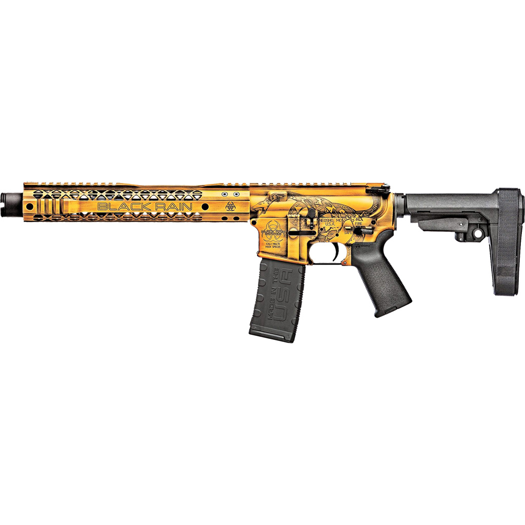 Black Rain Ordnance Spec+ Patriot Rifle 5.56 16 in. Gadsden Flag 30 rd.