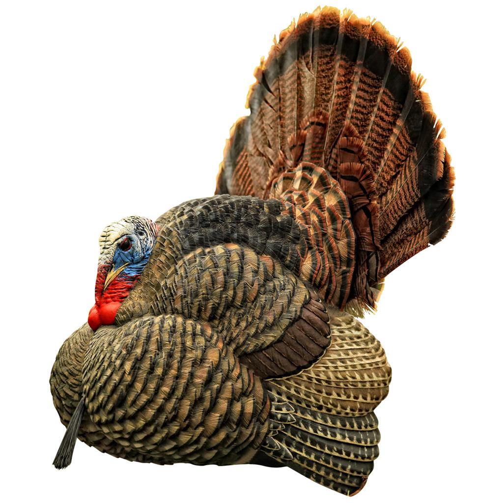 Avian X Strutter Turkey Decoy