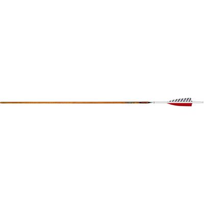 Easton Carbon Legacy Arrows 400 4 in. Feathers 6 pk.