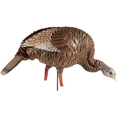 Avian X HDR Feeding Hen Decoy