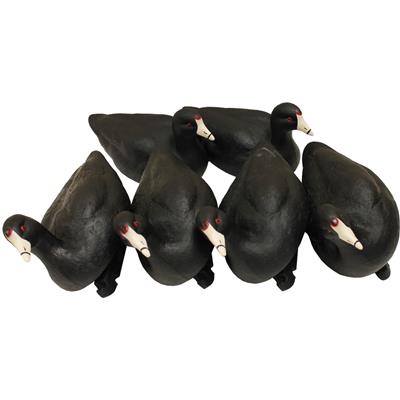 MOJO Coot Confidence Decoys 6 pk.