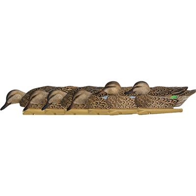 AvianX Top Flight Duck Decoys Early Season Teal 6 pk.