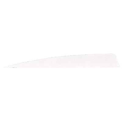 Gateway Shield Cut Feathers White 5 in. LW 50 pk.