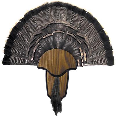 Hunters Specialties Turkey Mount Kit Tail & Beard