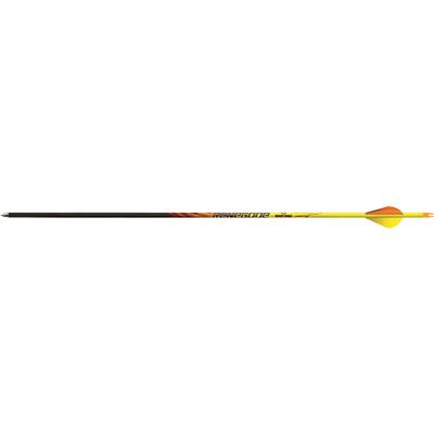 Black Eagle Renegade Arrows .005 250 Blazer Vanes 6 pk.