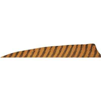 Gateway Shield Cut Feathers Barred Brown 4 in. LW 50 pk.