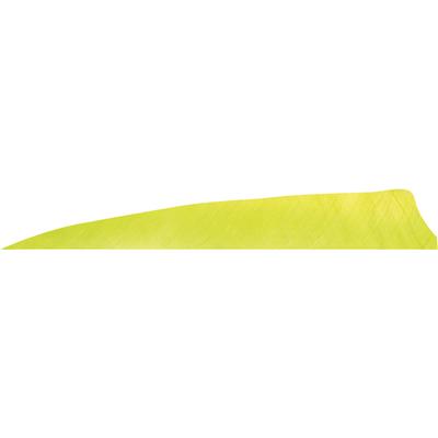 Gateway Shield Cut Feathers Lemon Lime 4 in. LW 50 pk.