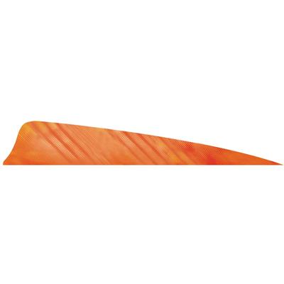 Gateway Shield Cut Feathers Tre White/Orange 4 in. LW 50 pk.