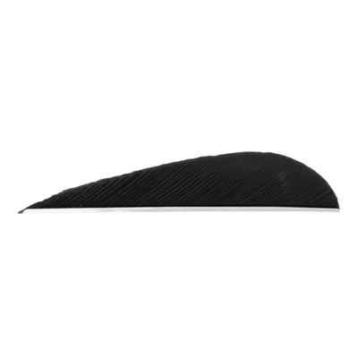 Trueflight Parabolic Feathers Black 3 in. RW 100 pk.