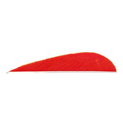 Trueflight Parabolic Feathers Red 3 in. RW 100 pk.