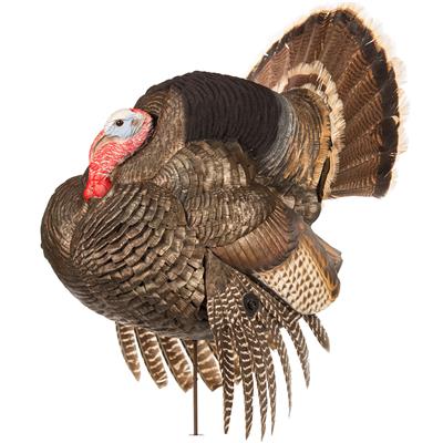 Dave Smith Decoys Strutter Decoy