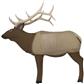 GlenDel 1/2 Size Elk Target