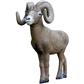 Rinehart ½ Scale Signature Bighorn Sheep Target