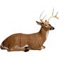 Delta McKenzie Pro 3D Bedded Buck Target DROP SHIP ONLY