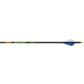 Gold Tip Hunter XT Arrows 400 Raptor Vanes 12 pk.