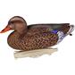 Flambeau Classic Mallard Decoy 6 pk.