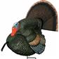 Primos Gobbstopper Turkey Decoy Strutter