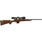 Howa M1100 Walnut Hunter GamePro Rifle 17 HMR 18 in. Walnut w/ Scope