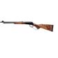 Savage Revel DLX Lever Action Rifle  22 WMR 18 in. Walnut Black 9 Rd.