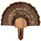 Walnut Hollow Turkey Mount Kit Walnut