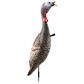 Flextone Funky Chicken Gen 2 Turkey Decoy