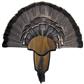 Hunters Specialties Turkey Mount Kit Tail & Beard